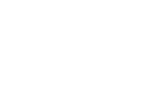 DIS